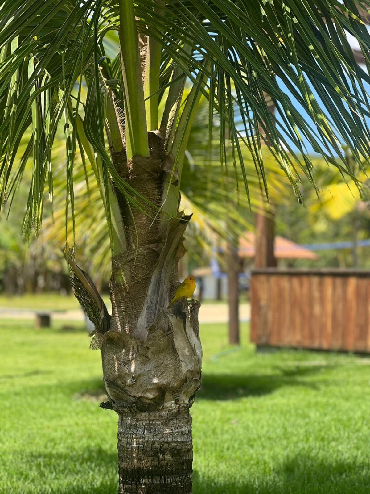 Paraíso A Da Dona Perpetua Pensión